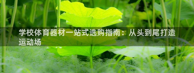 凯时国际app首页下载