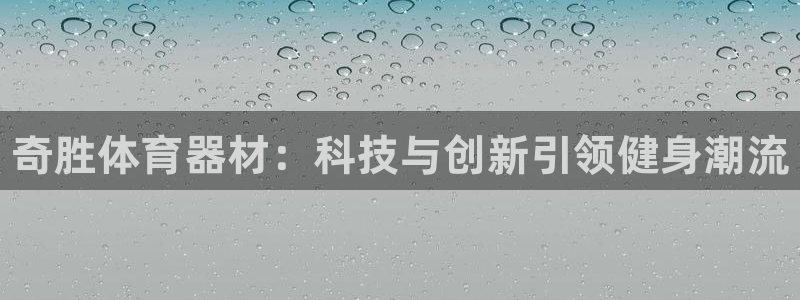 尊龙官网手机版下载
