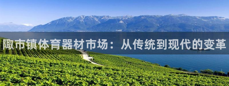 尊龙官网免费下载安装