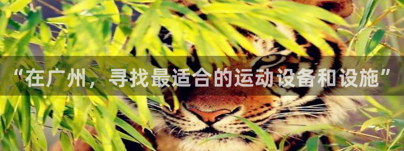 尊龙凯时网站首页手机登录：“在广州，寻找最适合的运动设备和设