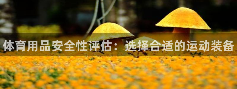 凯时国际官方版：体育用品安全性评估：选择合适的运动装备