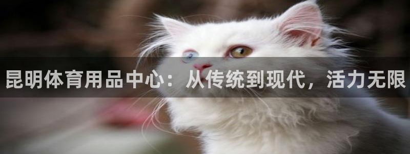 尊龙人生就是博官方官网